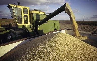美国目标盯上全球粮食市场,大豆玉米为何危机四伏?_财经头条